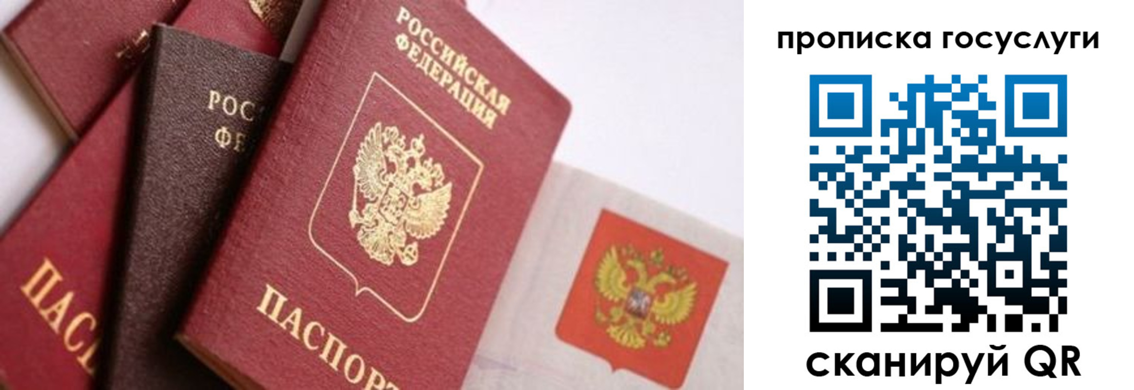 прописка законно в Амурской области